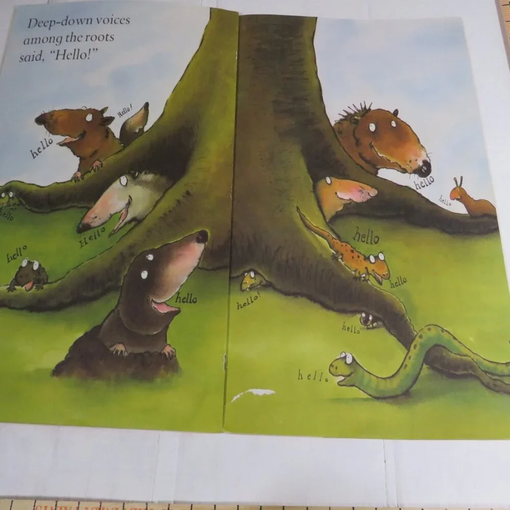 Big Shared Book hello goodbye